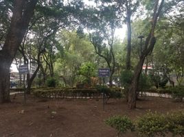 2 Schlafzimmer Wohnung zu verkaufen in Miguel Hidalgo, Mexico City, Miguel Hidalgo