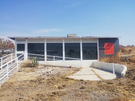  토지을(를) Irapuato, 구아나후토에서 판매합니다., Irapuato