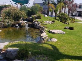 Condominium 3 chambre à vendre à San Luis Potosi, San Luis Potosi, San Luis Potosi, San Luis Potosi