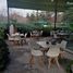  Land for sale in Chile, Santiago, Santiago, Santiago, Chile