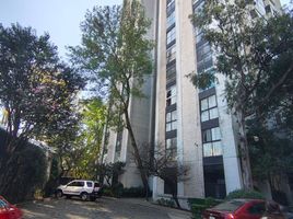 2 Habitación Departamento en venta en Miguel Hidalgo, Ciudad de México, Miguel Hidalgo