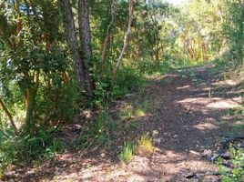 Land for sale in Chile, Mariquina, Valdivia, Los Rios, Chile