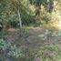  Land for sale in Chile, Mariquina, Valdivia, Los Rios, Chile