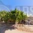 2 Bedroom House for sale in Huatabampo, Sonora, Huatabampo