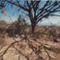  Land for sale in Ixtlahuacan De Los Membrillos, Jalisco, Ixtlahuacan De Los Membrillos