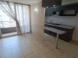 3 Habitación Apartamento en venta en Chile, Santiago, Santiago, Santiago, Chile