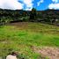  Land for sale in Paute, Azuay, Chican Guillermo Ortega, Paute