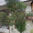 6 침실 주택을(를) Coatepec, 베라 크루즈에서 판매합니다., Coatepec