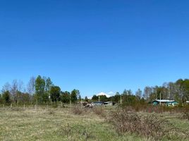  Land for sale in Chile, Villarrica, Cautin, Araucania, Chile