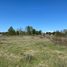  Land for sale in Chile, Villarrica, Cautin, Araucania, Chile
