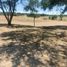  Terreno (Parcela) en venta en Aguascalientes, Aguascalientes, Aguascalientes, Aguascalientes, México