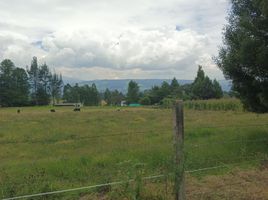  Land for sale in Amaguana, Quito, Amaguana