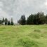  Land for sale in Amaguana, Quito, Amaguana