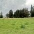  Land for sale in Amaguana, Quito, Amaguana