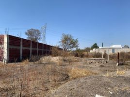  Land for sale in Silao, Guanajuato, Silao