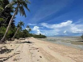  Land for sale in San Narciso, Quezon, San Narciso