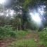  Land for sale in Puerto Princesa City, Mimaropa, Puerto Princesa City, Palawan, Mimaropa