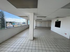 218 m2 Office for rent in Guadalajara, Jalisco, Guadalajara