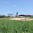  Land for sale in Iquitos, Loreto, Iquitos, Maynas, Loreto