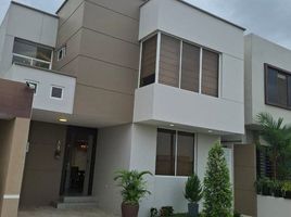 3 Habitación Villa en alquiler en Machala, El Oro, Machala, Machala