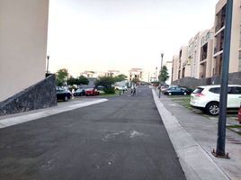 3 Schlafzimmer Appartement zu vermieten in Queretaro, Queretaro, Queretaro, Queretaro