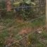 3 Bedroom Villa for sale in Ramiriqui, Boyaca, Ramiriqui
