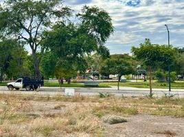 在Colima出售的 土地, Colima, Colima