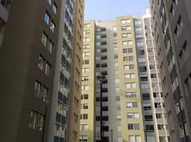 3 Bedroom Condo for rent in Peru, Comas, Lima, Lima, Peru