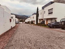 3 Bedroom House for sale in Tumbaco, Pichincha, Tumbaco