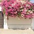 6 Bedroom House for sale in Cajeme, Sonora, Cajeme, Sonora