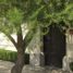 6 Bedroom House for sale in Cajeme, Sonora, Cajeme, Sonora