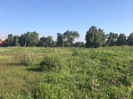  Grundstück zu verkaufen in Tula De Allende, Hidalgo, Tula De Allende