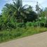  Land for sale in Siquijor, Central Visayas, Siquijor, Siquijor