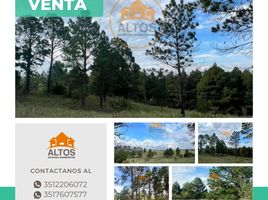  Land for sale in Santa Maria, Cordoba, Santa Maria