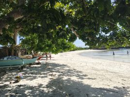  Land for sale in Santiago Bay Beach, San Francisco, San Francisco