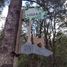  Land for sale in Chile, Pucon, Cautin, Araucania, Chile