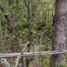  Land for sale in Chile, Pucon, Cautin, Araucania, Chile