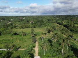  Grundstück zu verkaufen in Alfonso, Calabarzon, Alfonso