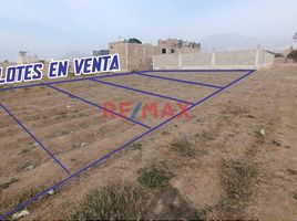  Terreno (Parcela) en venta en Moche, Trujillo, Moche