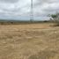  Land for sale in Montecristi, Manabi, Montecristi, Montecristi