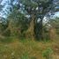  Land for sale in Ernesto Cortissoz International Airport, Soledad, Malambo