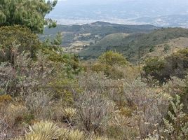  Terreno (Parcela) en venta en Soledad, Atlantico, Soledad