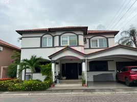 4 Habitación Casa en alquiler en Guayas, Samborondon, Samborondón, Guayas