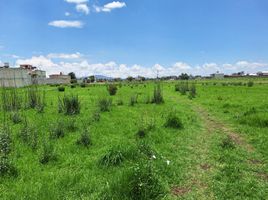  Grundstück zu verkaufen in Otzolotepec, Mexico, Otzolotepec