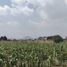  Grundstück zu verkaufen in Temascaltepec, Mexico, Temascaltepec