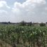  Grundstück zu verkaufen in Temascaltepec, Mexico, Temascaltepec