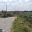  Grundstück zu verkaufen in Temascaltepec, Mexico, Temascaltepec
