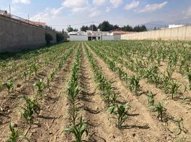  Grundstück zu verkaufen in Almoloya De Juarez, Mexico, Almoloya De Juarez