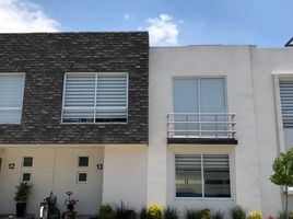 Appartement 3 chambre à louer à Toluca, Mexico, Toluca