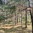  Land for sale in Metepec, Hidalgo, Metepec